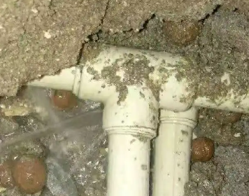 广水测漏水多少钱